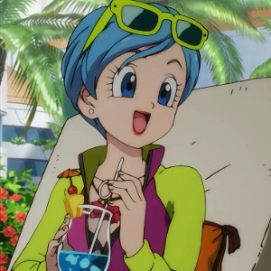 Bulma Briefs