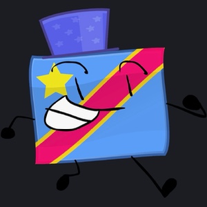 DRC Flag