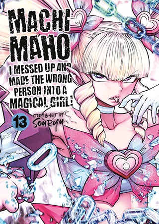 Volume 13
