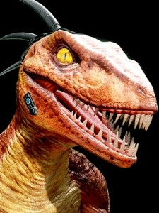 Riptor