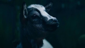 Milo the Goat