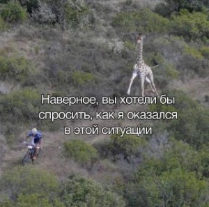 Хорхе Х Хиро