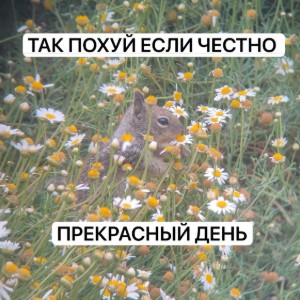 Урания Х Кейла