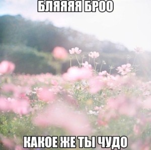 Миша Х Хиро