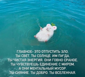 Катла Х Миша