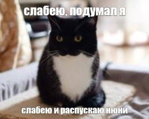 Мартин Х Крис