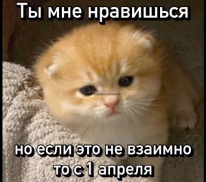 Эрик Х Ромео