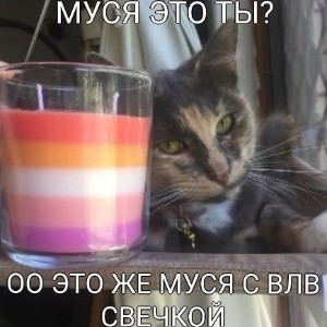 Катла Х Джульетта