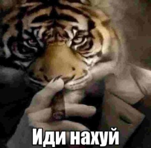 Антуан Х Йор