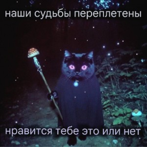 Мария Х Миша Х Хиро