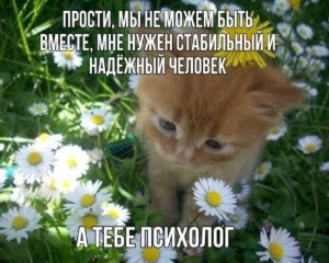 Мэрит Х Йор