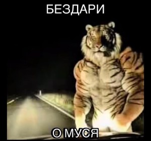 Крис Х Уржубаль