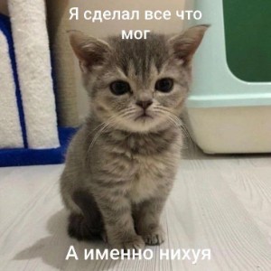 Катерина Х Хорхе