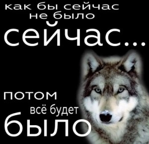Мэрит Х Рейн
