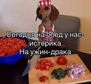 Конни Х её соперник