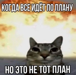 Мария Х Доминика