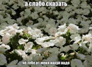 Мария Х Варана
