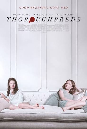 thoroughbreds