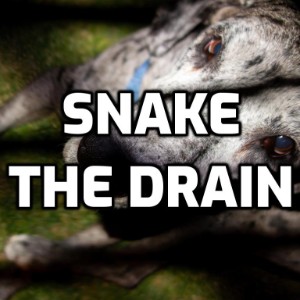 Devon Again-Snake the drain