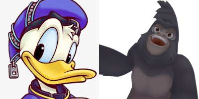 Donald x Terk