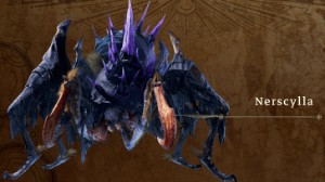 Nerscylla