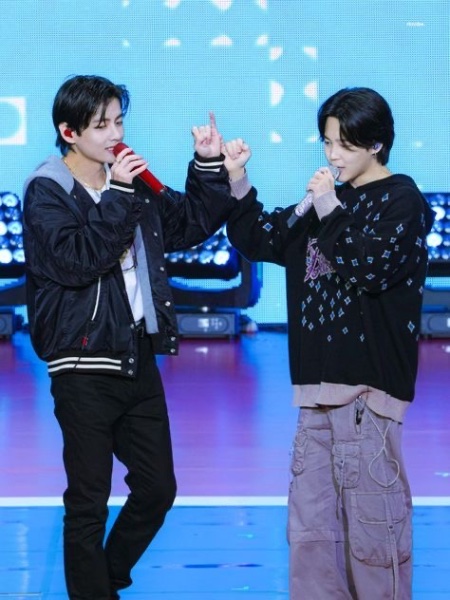 vicnic vmin