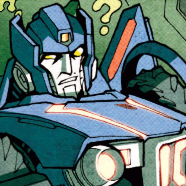 Skids