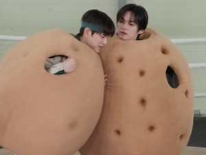 2MIN Potato