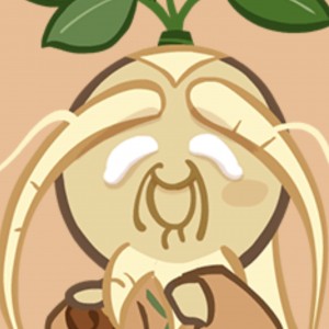 Ginseng Cookie
