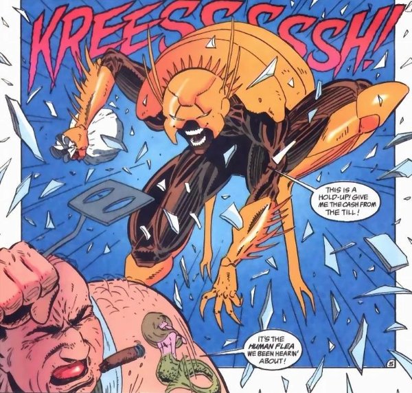 Human Flea