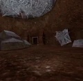 Level 29
