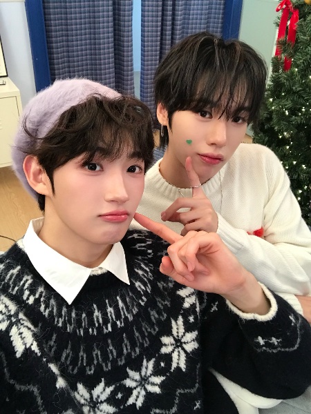 winter taejuz