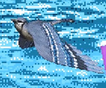 Birds