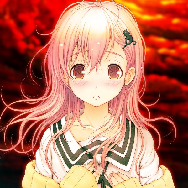 Aoi (totono)