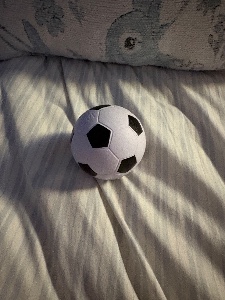 Soccer squishy