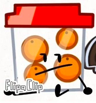 Bucket of Oranges