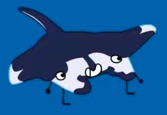 Manta Ray