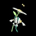 White Floette
