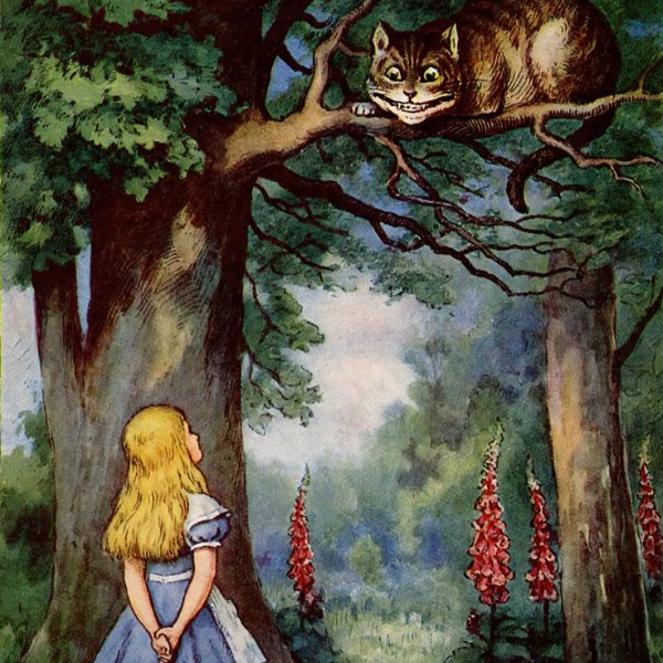 Alice's Adventures In Wonderland by Lewis Caroll