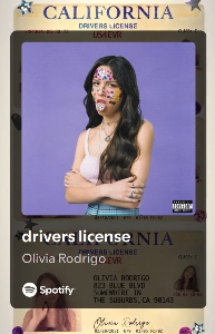 driver’s license
