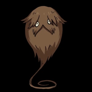 Furgus