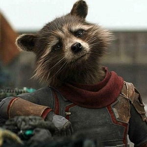 Rocket Raccon