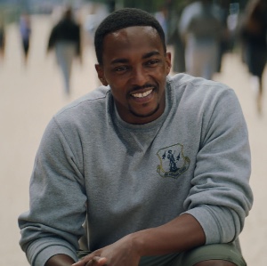 Sam Wilson / falcon / Captain America