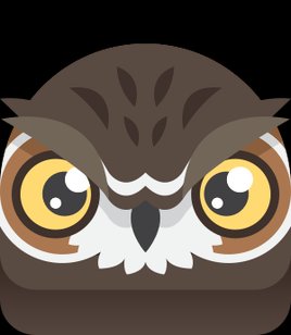 Judgemental Owl