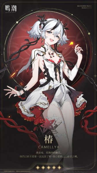 椿