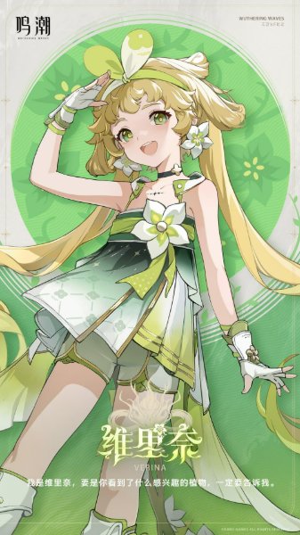 維里奈