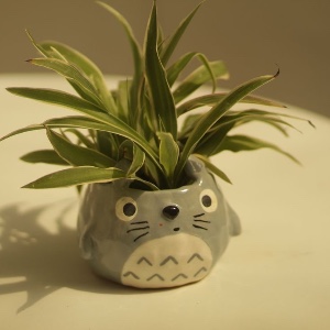 my neighbour totoro plant pot
