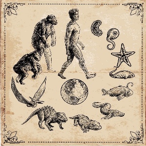 theory of evolution