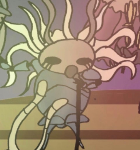 No eyes