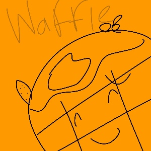 Waffle